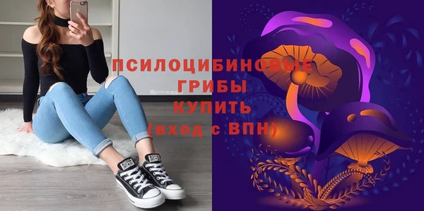 мдпв Нефтегорск