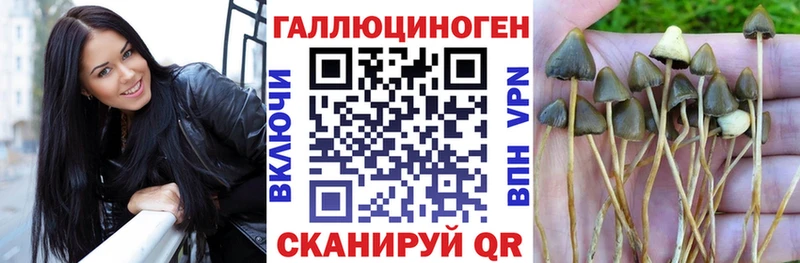 Галлюциногенные грибы Cubensis  цена наркотик  omg онион  Устюжна 