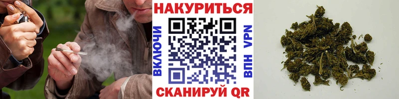 Бошки Шишки AK-47 Устюжна